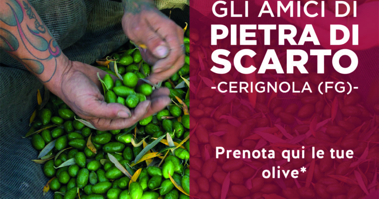 Sostieni la cooperativa sociale Pietra di scarto. Fino al 20 giugno puoi prenotare le olive